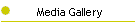 Media Gallery